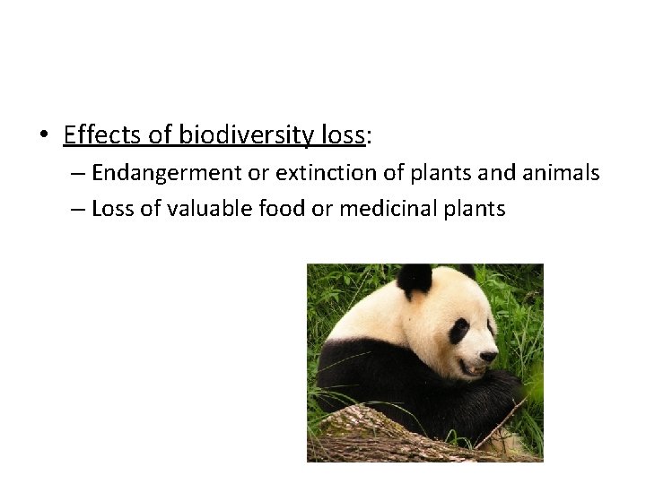  • Effects of biodiversity loss: – Endangerment or extinction of plants and animals