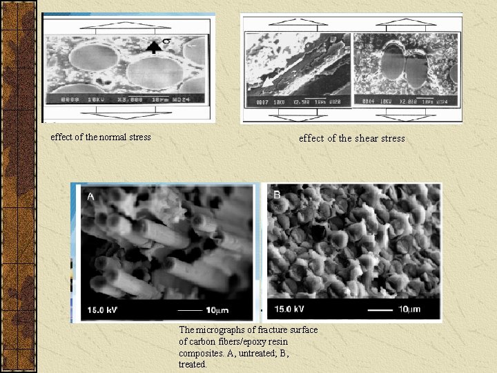 effect of the normal stress effect of the shear stress The micrographs of fracture