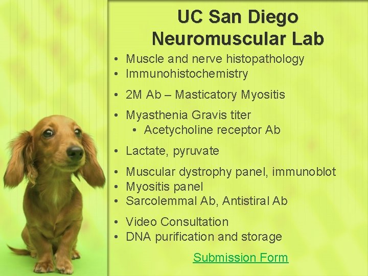 UC San Diego Neuromuscular Lab • Muscle and nerve histopathology • Immunohistochemistry • 2