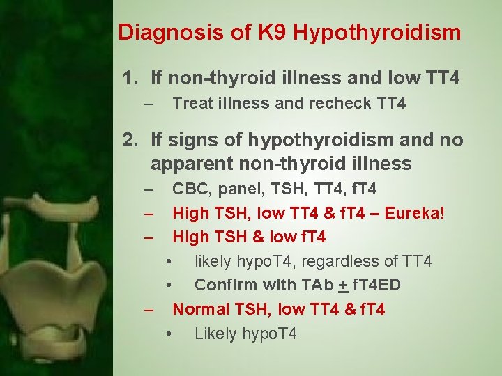 Diagnosis of K 9 Hypothyroidism 1. If non-thyroid illness and low TT 4 –