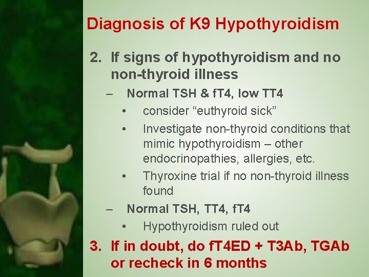 Diagnosis of K 9 Hypothyroidism 2. If signs of hypothyroidism and no non-thyroid illness