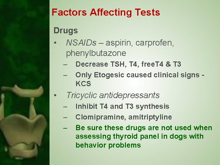 Factors Affecting Tests Drugs • NSAIDs – aspirin, carprofen, phenylbutazone – – • Decrease