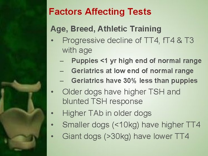 Factors Affecting Tests Age, Breed, Athletic Training • Progressive decline of TT 4, f.