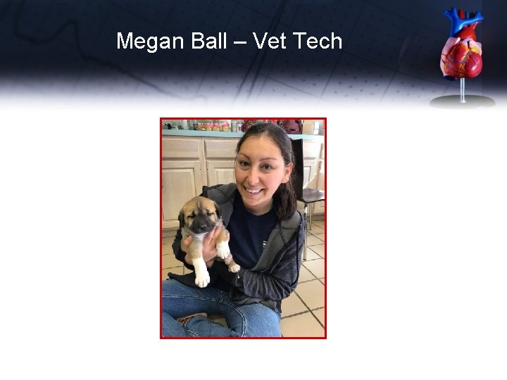 Megan Ball – Vet Tech 