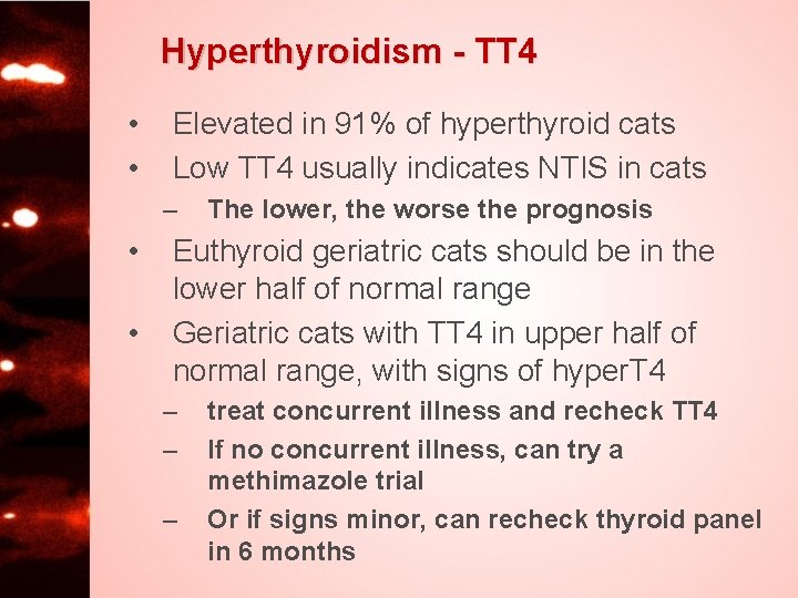 Hyperthyroidism - TT 4 • • Elevated in 91% of hyperthyroid cats Low TT
