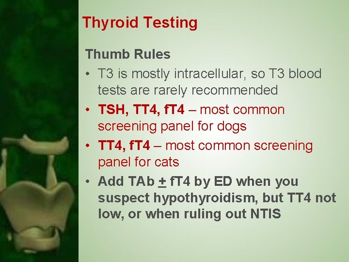 Thyroid Testing Thumb Rules • T 3 is mostly intracellular, so T 3 blood