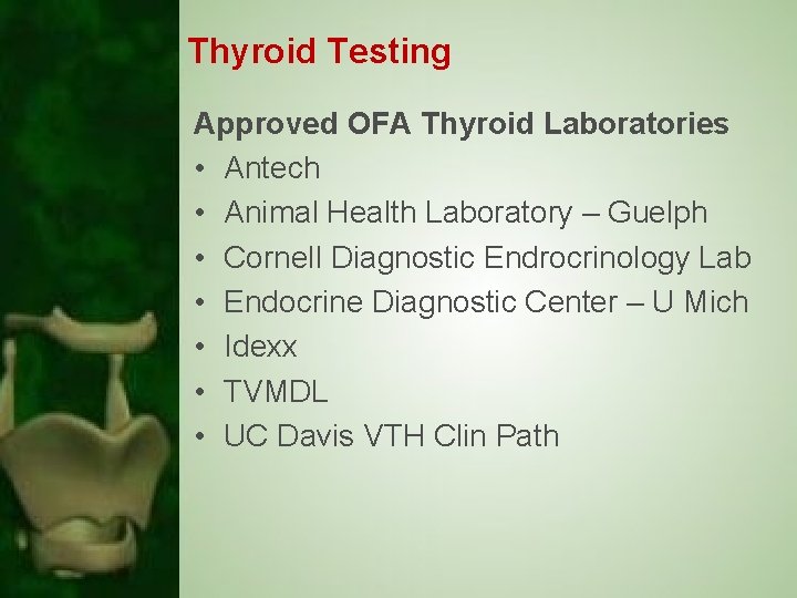 Thyroid Testing Approved OFA Thyroid Laboratories • Antech • Animal Health Laboratory – Guelph