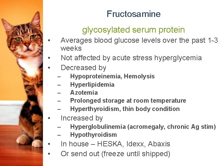 Fructosamine glycosylated serum protein • • • Averages blood glucose levels over the past