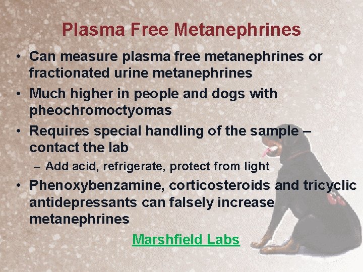 Plasma Free Metanephrines • Can measure plasma free metanephrines or fractionated urine metanephrines •