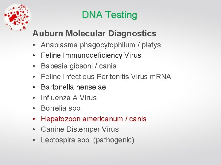 DNA Testing Auburn Molecular Diagnostics • • • Anaplasma phagocytophilum / platys Feline Immunodeficiency