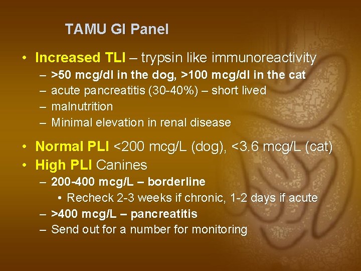 TAMU GI Panel • Increased TLI – trypsin like immunoreactivity – – >50 mcg/dl