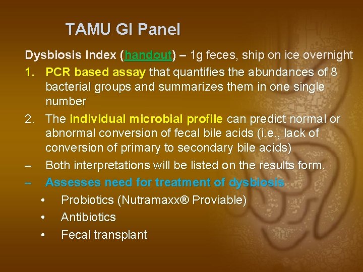 TAMU GI Panel Dysbiosis Index (handout) – 1 g feces, ship on ice overnight