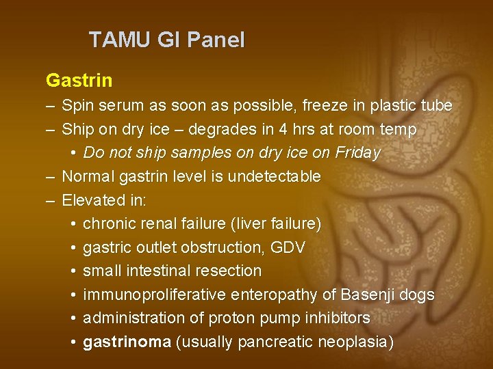 TAMU GI Panel Gastrin – Spin serum as soon as possible, freeze in plastic