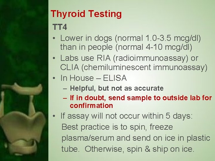 Thyroid Testing TT 4 • Lower in dogs (normal 1. 0 -3. 5 mcg/dl)