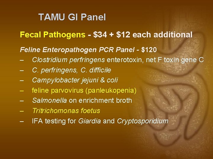 TAMU GI Panel Fecal Pathogens - $34 + $12 each additional Feline Enteropathogen PCR