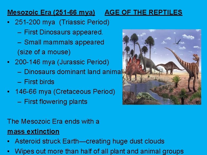 Mesozoic Era (251 -66 mya) AGE OF THE REPTILES • 251 -200 mya (Triassic