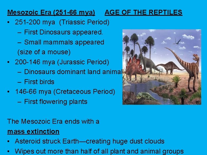 Mesozoic Era (251 -66 mya) AGE OF THE REPTILES • 251 -200 mya (Triassic Mesozoic Era (251 -66 mya) AGE OF THE REPTILES • 251 -200 mya (Triassic