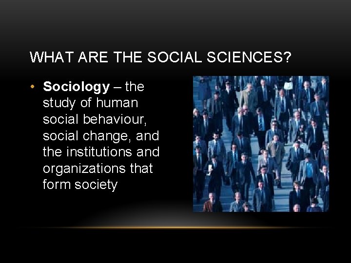 WHAT ARE THE SOCIAL SCIENCES? • Sociology – the study of human social behaviour,
