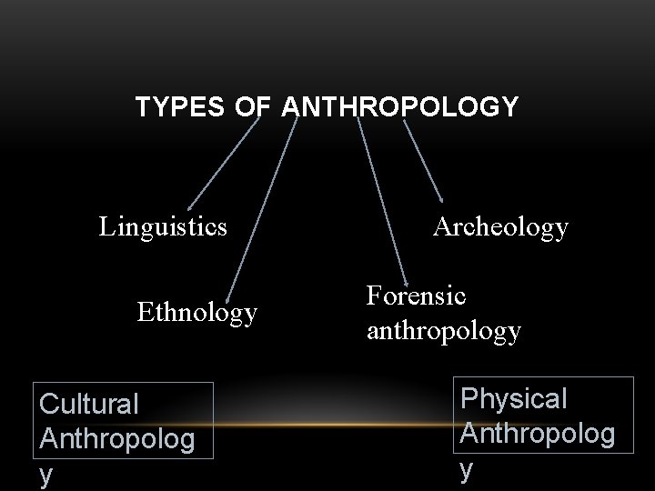 TYPES OF ANTHROPOLOGY Linguistics Ethnology Cultural Anthropolog y Archeology Forensic anthropology Physical Anthropolog y