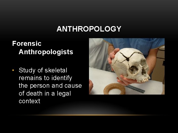 ANTHROPOLOGY Forensic Anthropologists • Study of skeletal remains to identify the person and cause