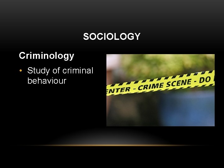 SOCIOLOGY Criminology • Study of criminal behaviour 