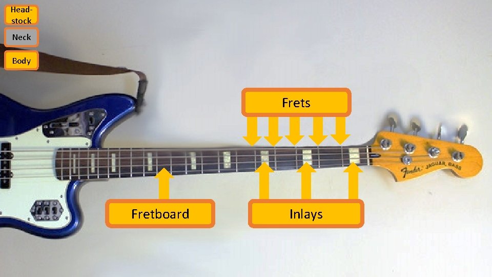 Headstock Neck Body Frets Fretboard Inlays 