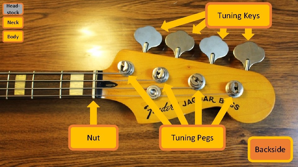 Headstock Tuning Keys Neck Body Nut Tuning Pegs Backside 