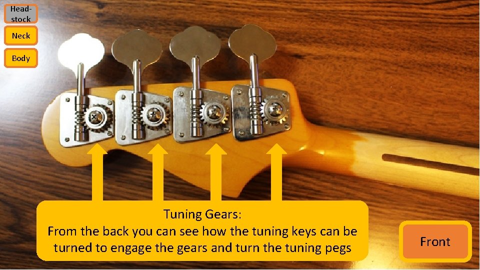 Headstock Neck Body Tuning Gears: From the back you can see how the tuning