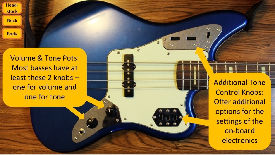 Headstock Neck Body Volume & Tone Pots: Most basses have at least these 2