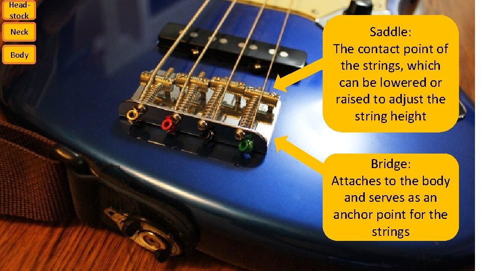 Headstock Neck Body Saddle: The contact point of the strings, which can be lowered
