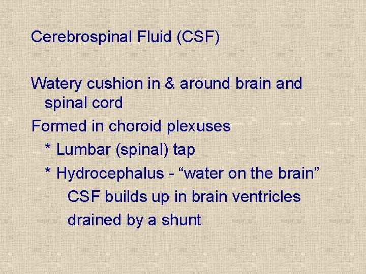 Cerebrospinal Fluid (CSF) Watery cushion in & around brain and spinal cord Formed in