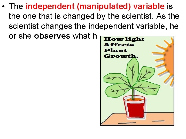  • The independent (manipulated) variable is the one that is changed by the