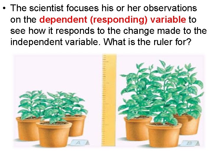  • The scientist focuses his or her observations on the dependent (responding) variable