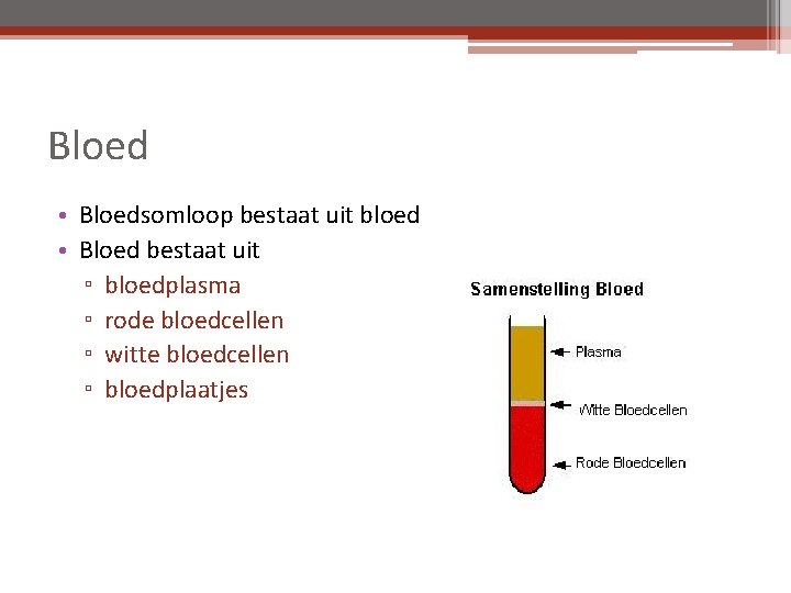 Bloed • Bloedsomloop bestaat uit bloed • Bloed bestaat uit ▫ bloedplasma ▫ rode