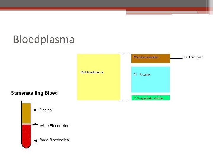 Bloedplasma 