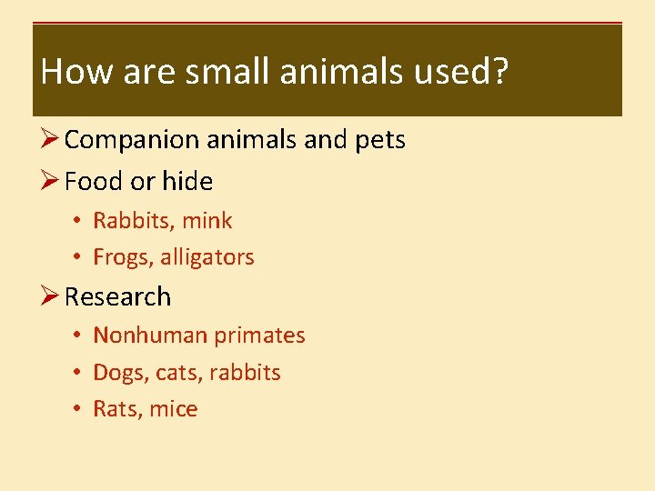How are small animals used? Ø Companion animals and pets Ø Food or hide