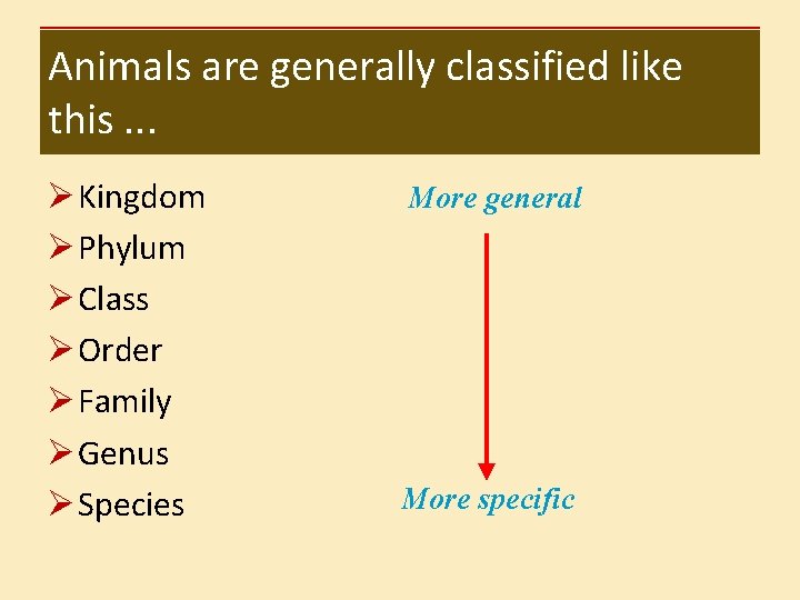 Animals are generally classified like this. . . Ø Kingdom Ø Phylum Ø Class