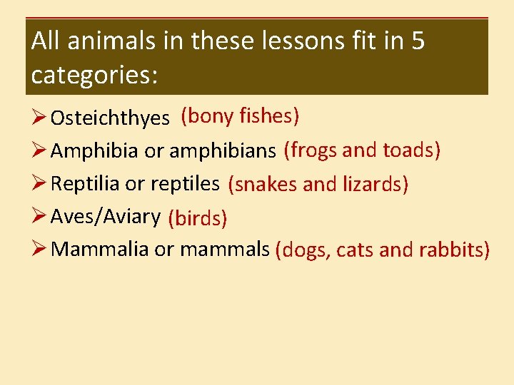 All animals in these lessons fit in 5 categories: Ø Osteichthyes (bony fishes) Ø