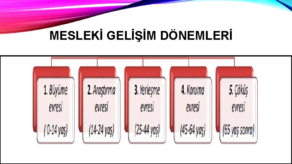 MESLEKİ GELİŞİM DÖNEMLERİ 