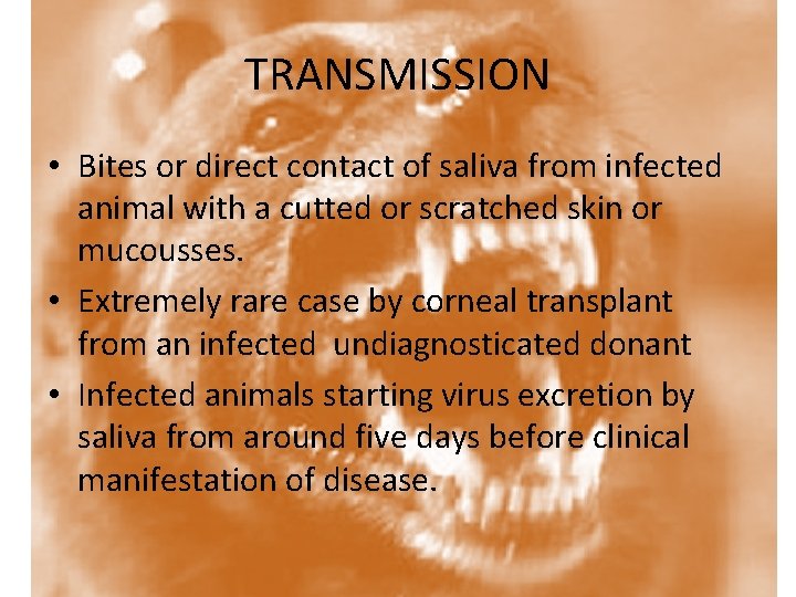 TRANSMISSION • Bites or direct contact of saliva from infected animal with a cutted