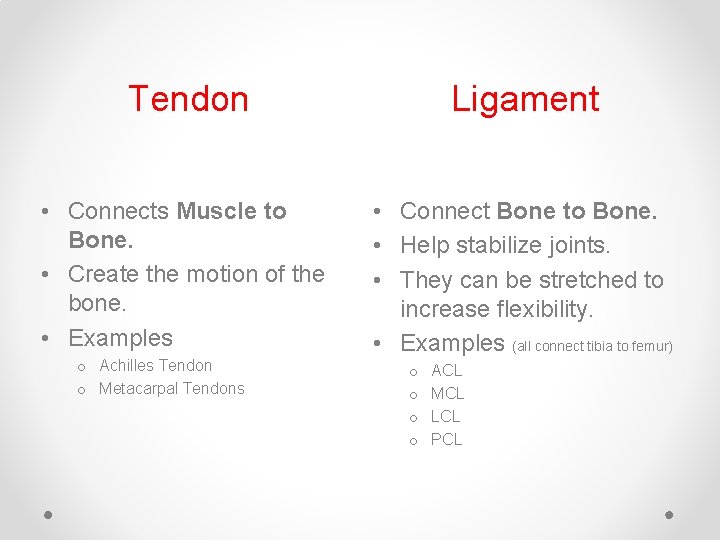 Tendon Ligament • Connects Muscle to Bone. • Create the motion of the bone. Tendon Ligament • Connects Muscle to Bone. • Create the motion of the bone.