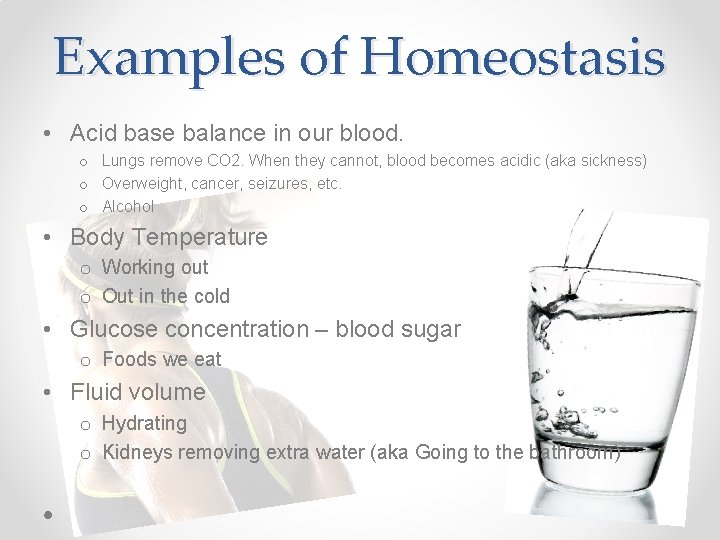 Examples of Homeostasis • Acid base balance in our blood. o Lungs remove CO Examples of Homeostasis • Acid base balance in our blood. o Lungs remove CO