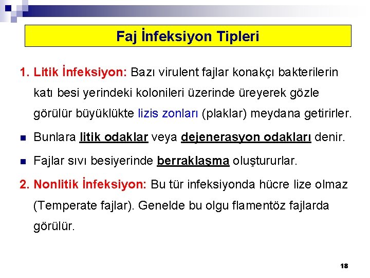 Faj İnfeksiyon Tipleri 1. Litik İnfeksiyon: Bazı virulent fajlar konakçı bakterilerin katı besi yerindeki