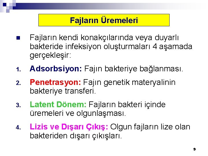 Fajların Üremeleri n Fajların kendi konakçılarında veya duyarlı bakteride infeksiyon oluşturmaları 4 aşamada gerçekleşir: