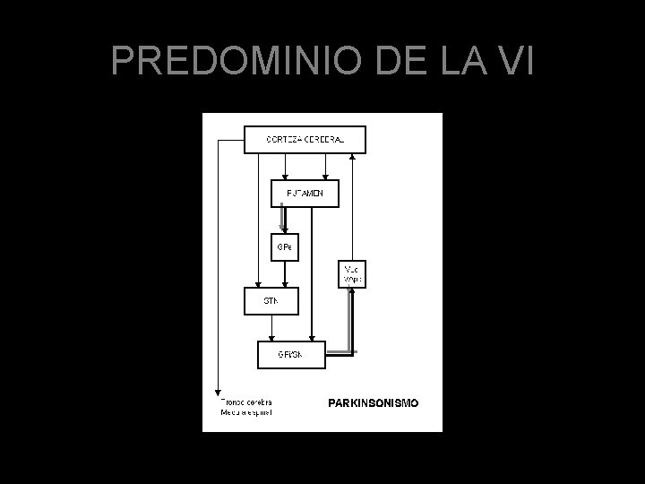 PREDOMINIO DE LA VI 