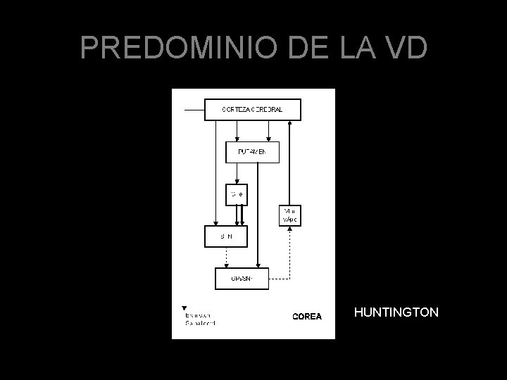PREDOMINIO DE LA VD HUNTINGTON 