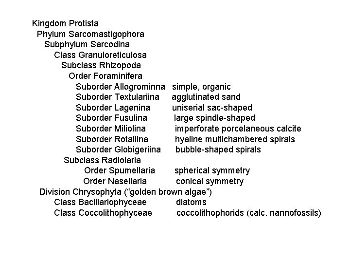 Kingdom Protista Phylum Sarcomastigophora Subphylum Sarcodina Class Granuloreticulosa Subclass Rhizopoda Order Foraminifera Suborder Allogrominna