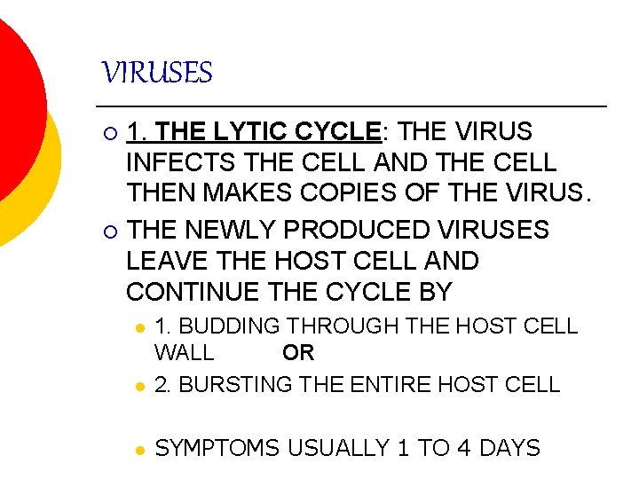 VIRUSES 1. THE LYTIC CYCLE: THE VIRUS INFECTS THE CELL AND THE CELL THEN
