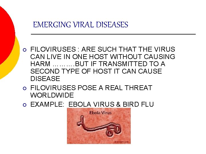 EMERGING VIRAL DISEASES ¡ ¡ ¡ FILOVIRUSES : ARE SUCH THAT THE VIRUS CAN