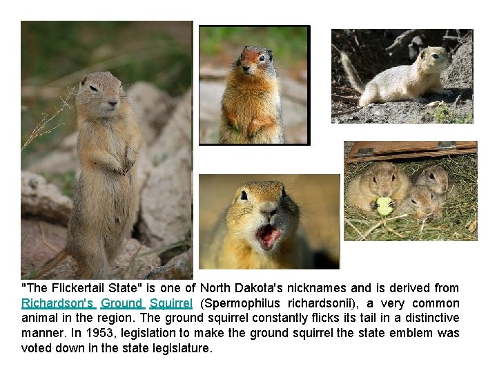 "The Flickertail State" is one of North Dakota's nicknames and is derived from Richardson's